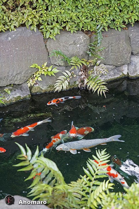 写真00
