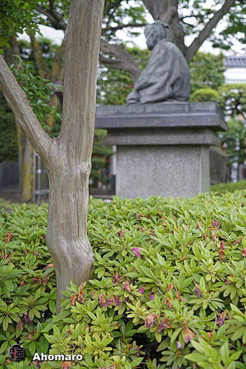 写真00