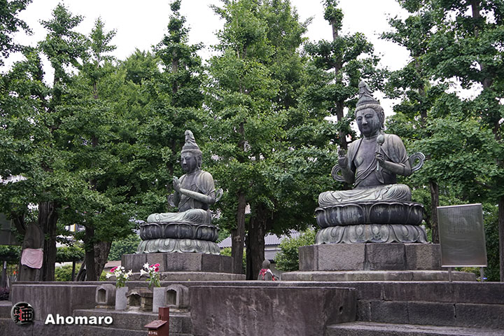 写真00