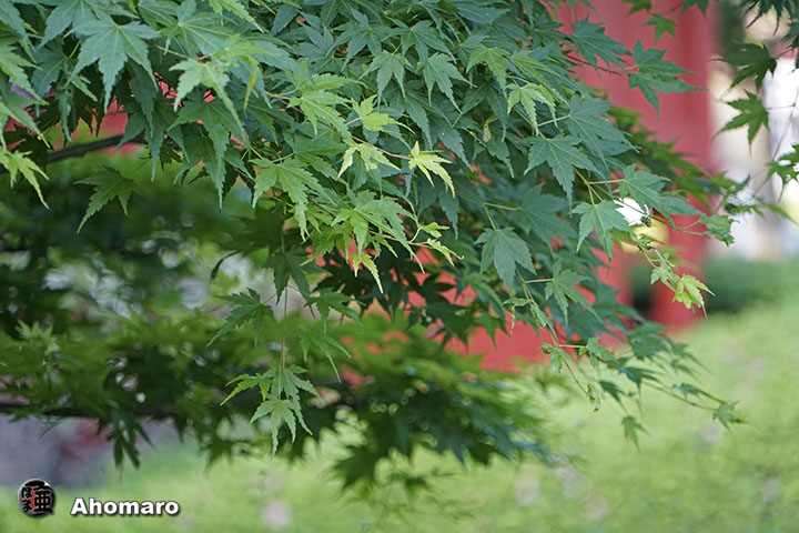 写真00