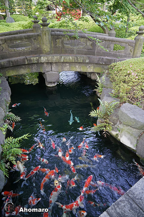 写真00