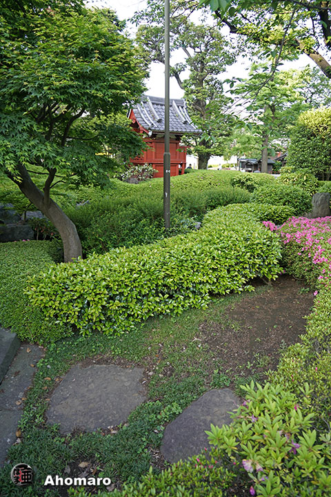 写真00