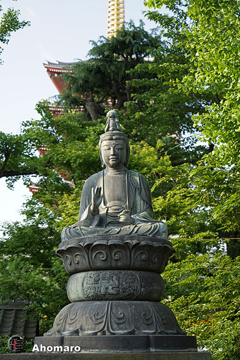 写真00