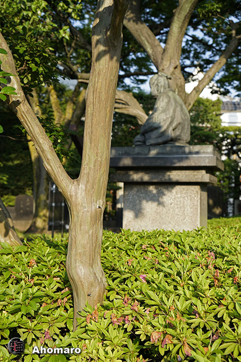 写真00
