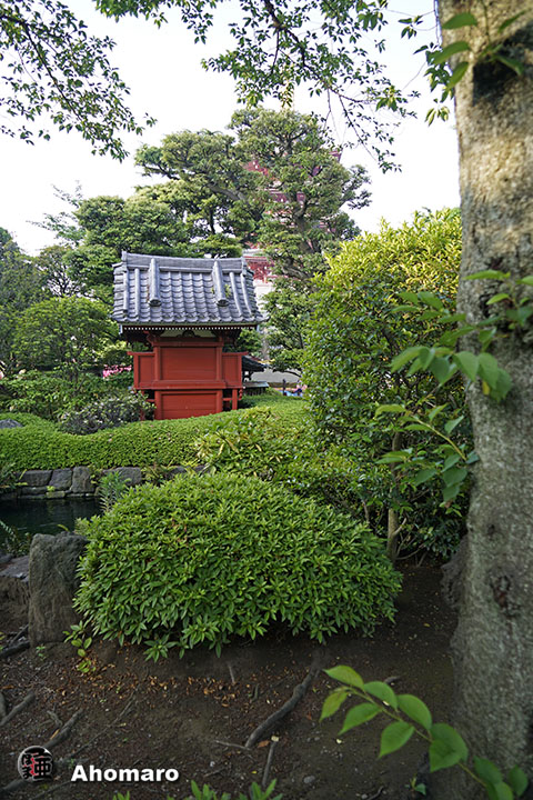 写真00