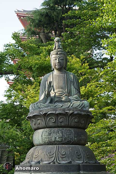 写真00