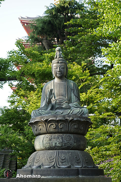 写真00