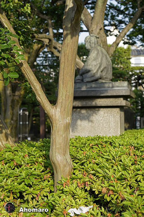 写真00
