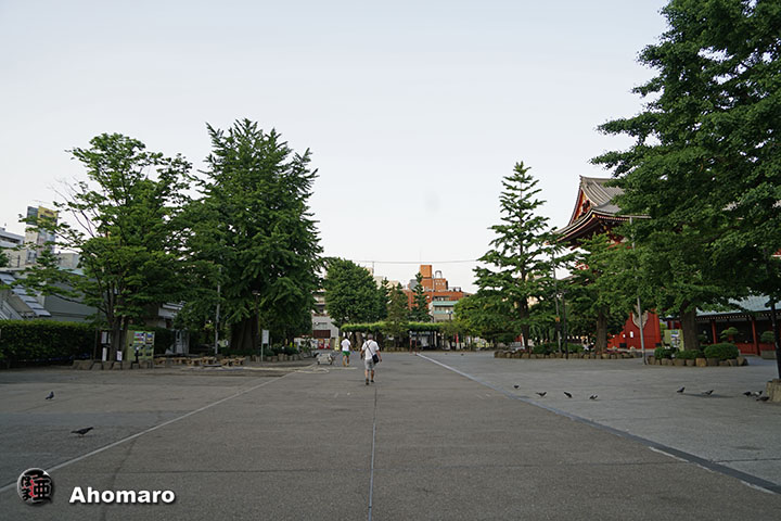 写真00