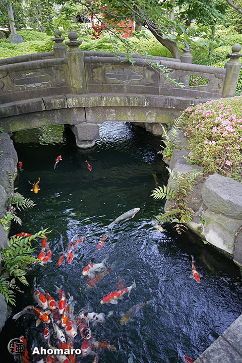 写真00