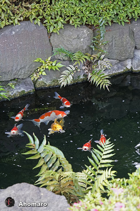 写真00