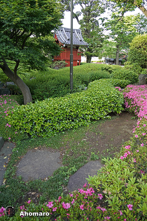 写真00