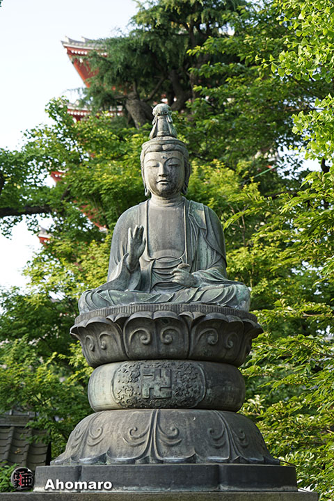 写真00