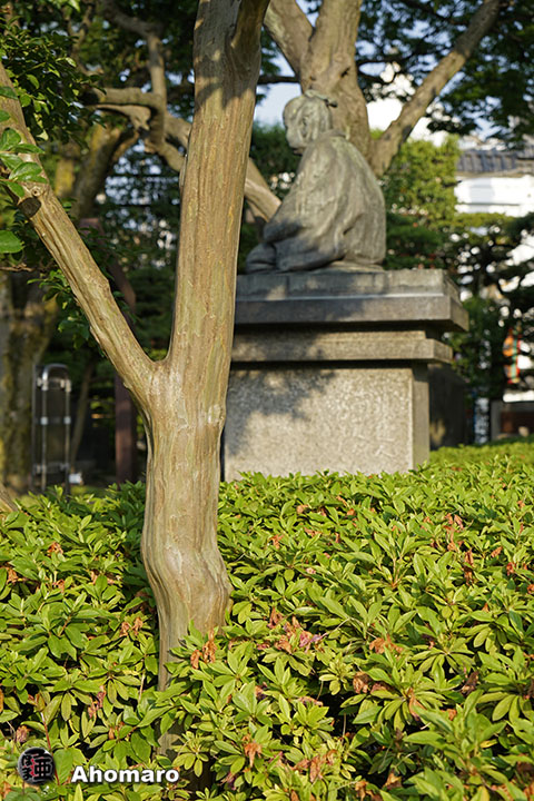 写真00
