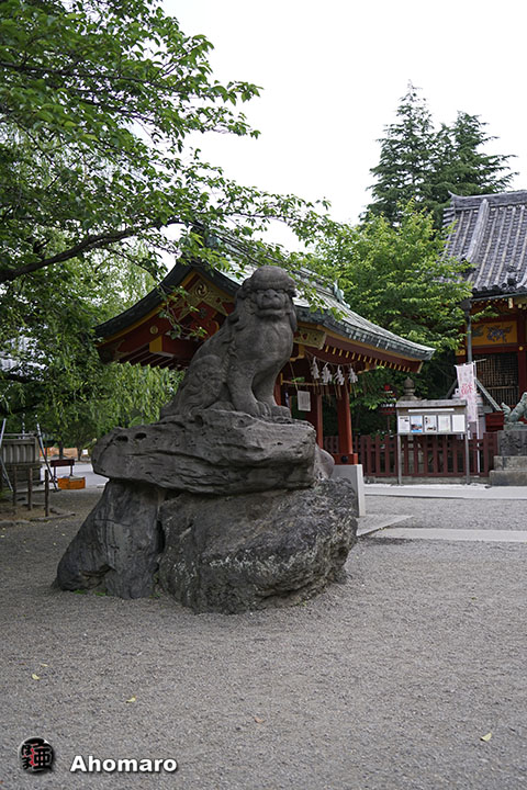 写真00