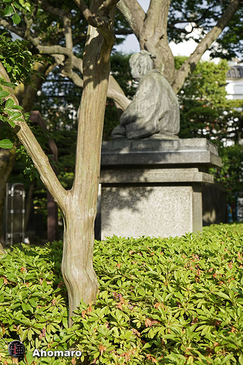 写真00