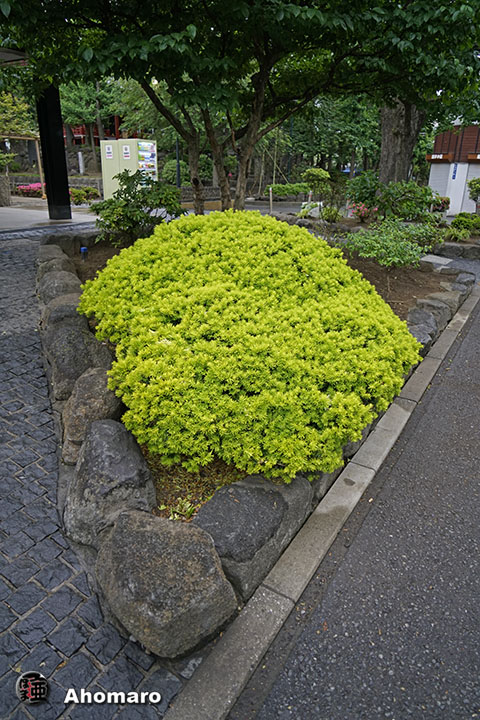 写真00
