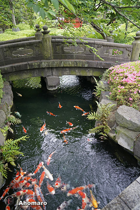 写真00