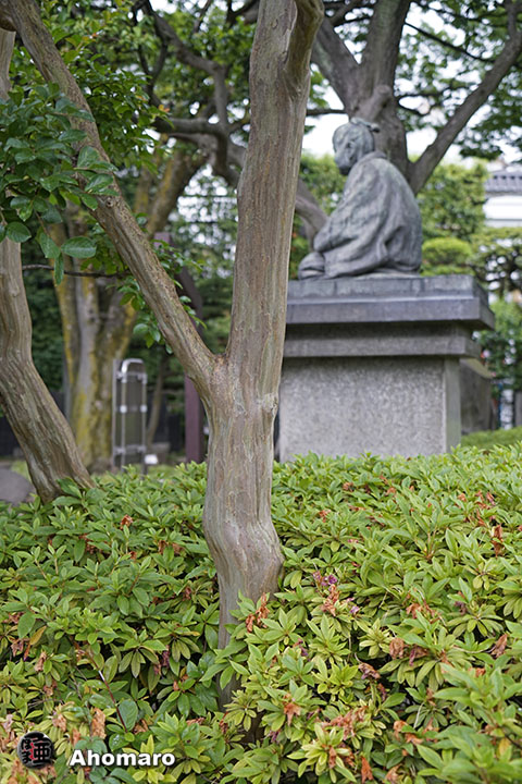 写真00