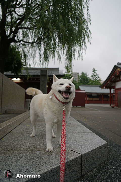 写真00