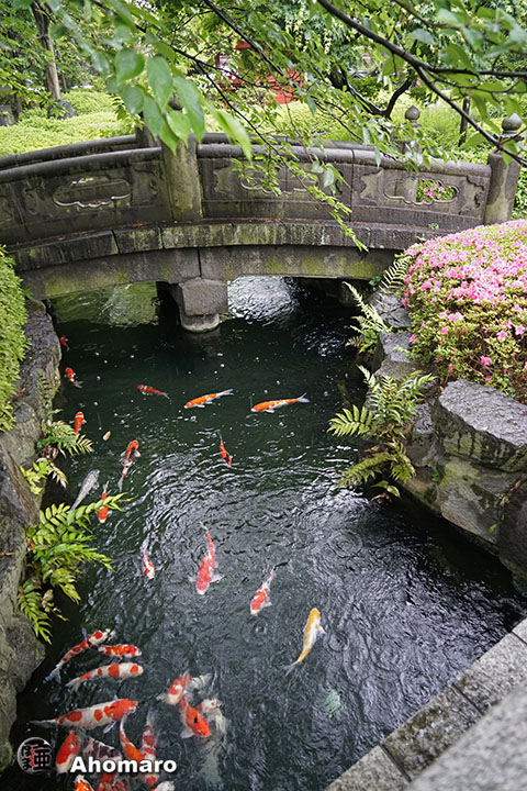 写真00