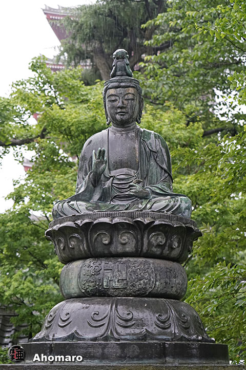 写真00