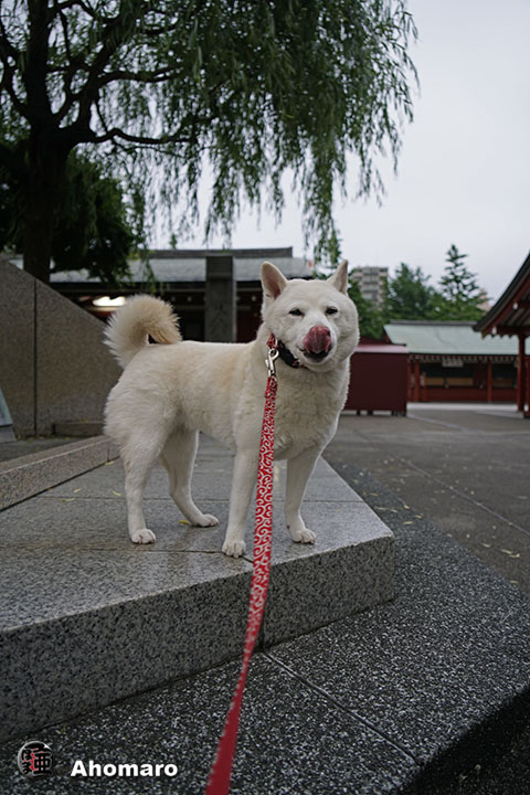 写真00
