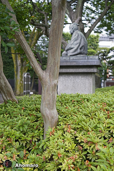 写真00