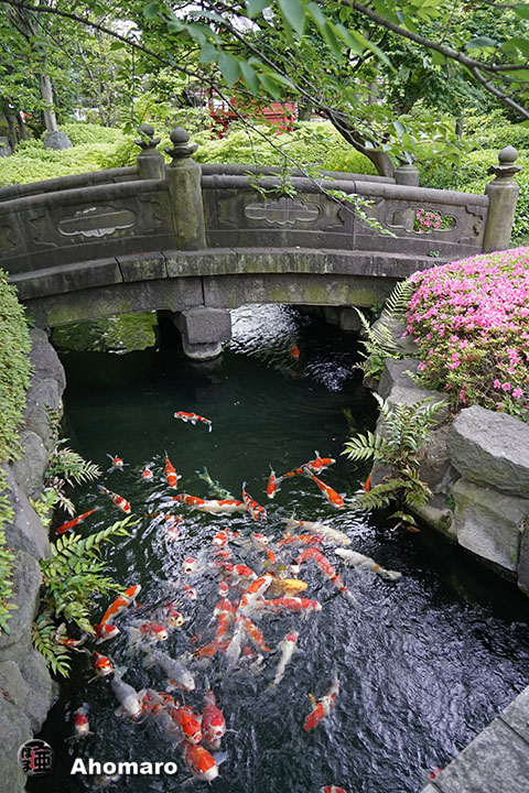写真00