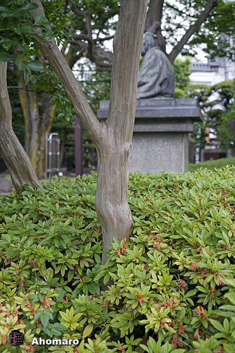 写真00