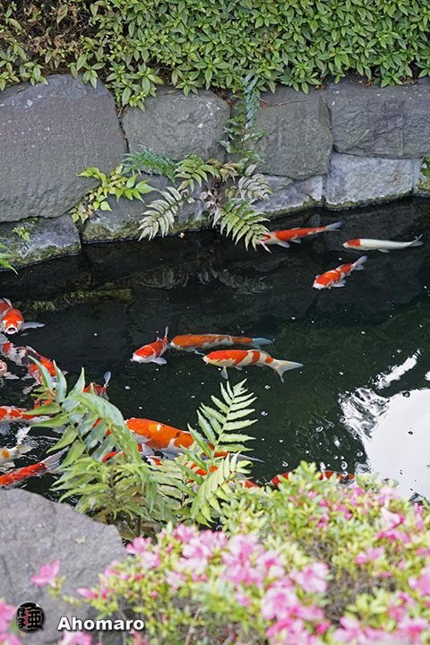 写真00