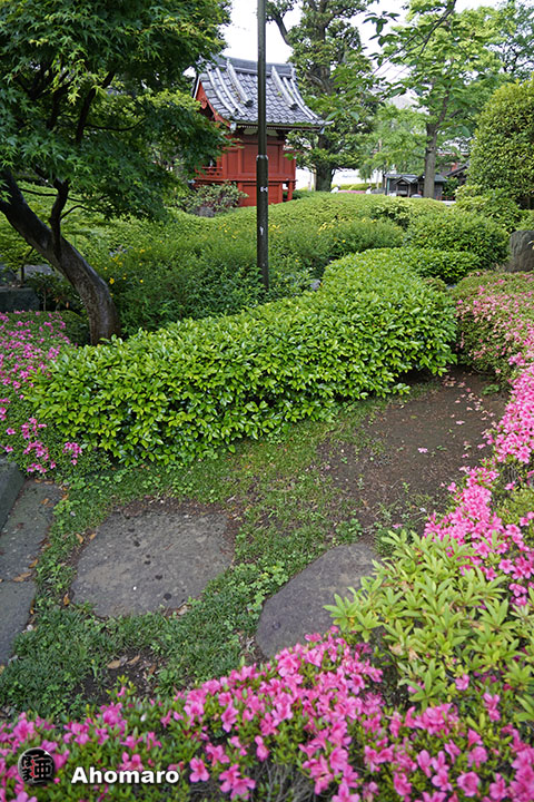 写真00