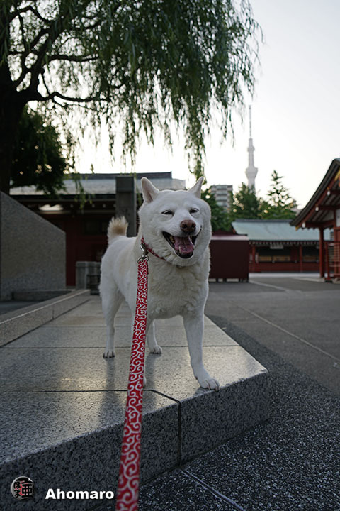 写真00