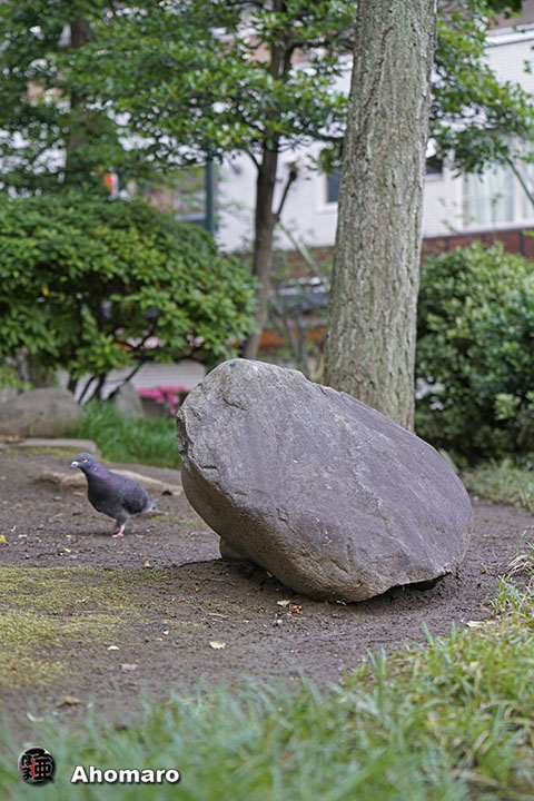写真00