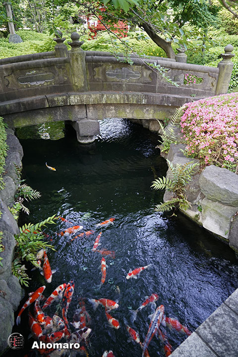 写真00