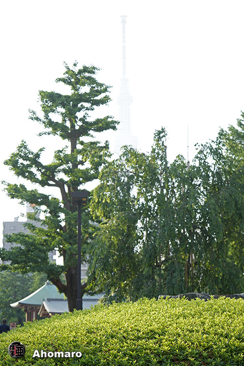 写真00