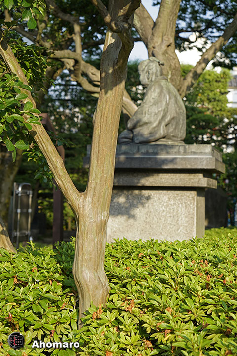 写真00