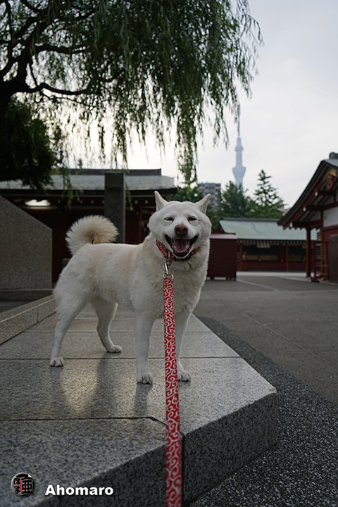 写真00