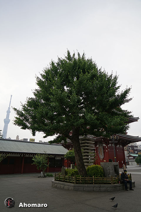 写真00