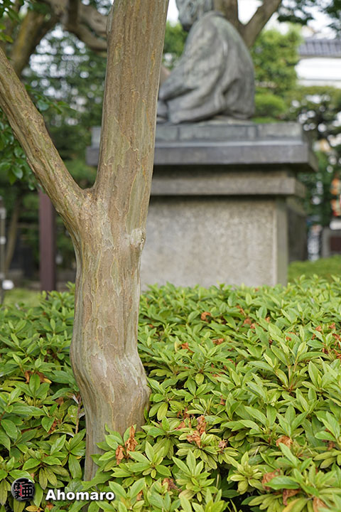 写真00