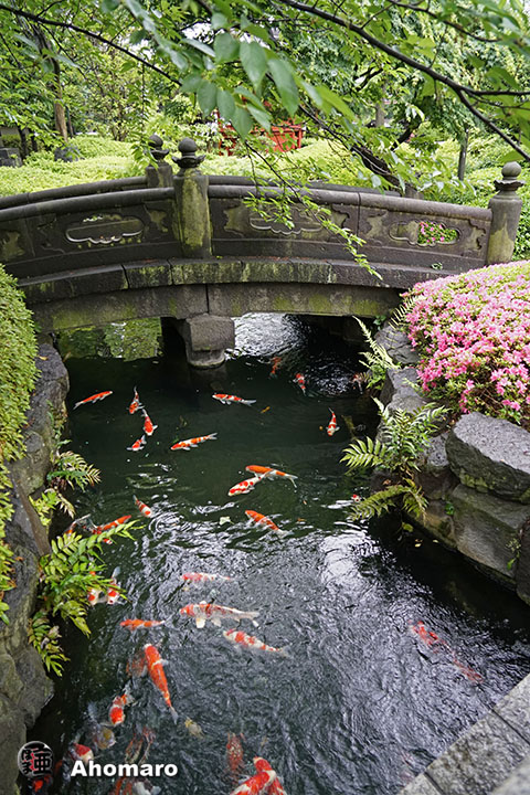 写真00