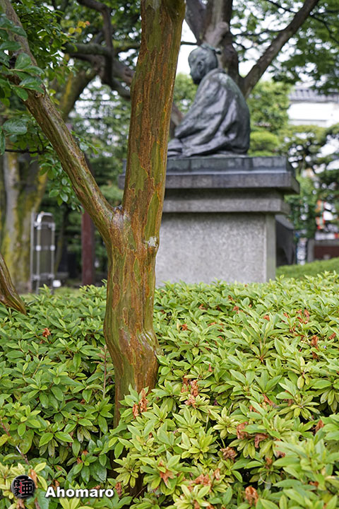 写真00