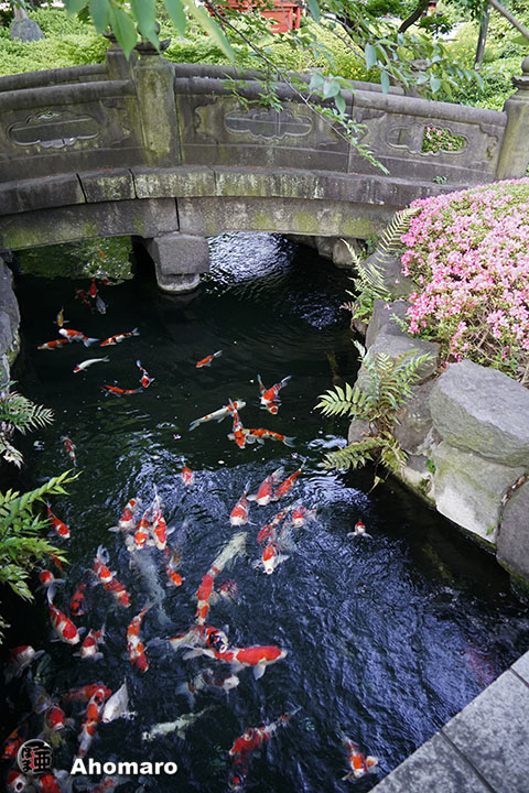 写真00