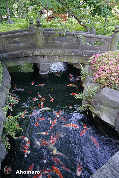 写真00