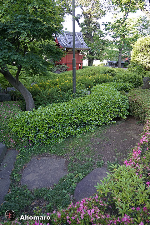 写真00