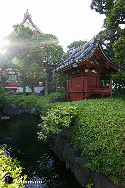 写真00