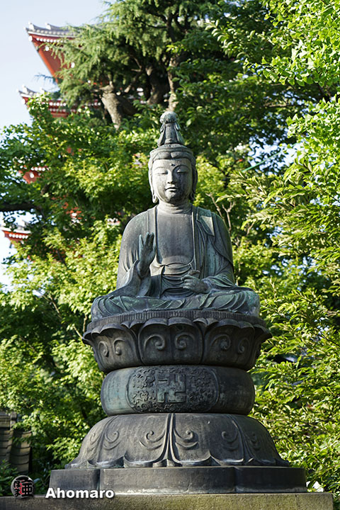 写真00