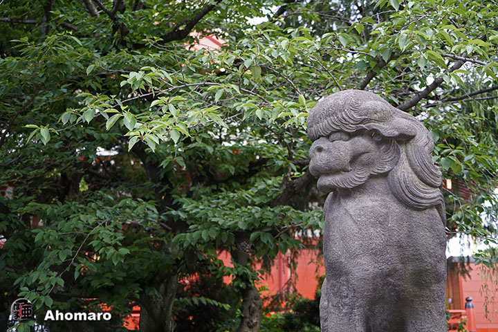 写真00