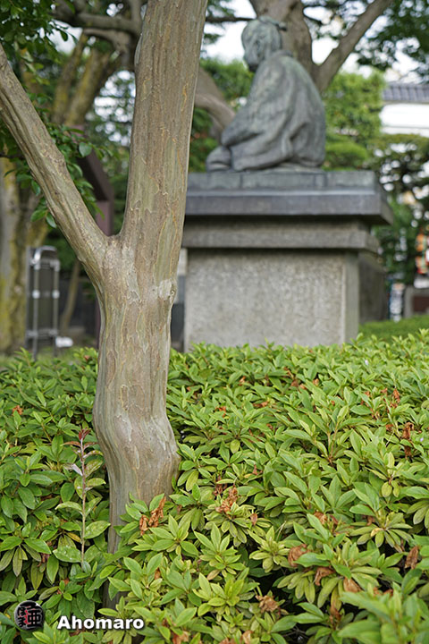 写真00
