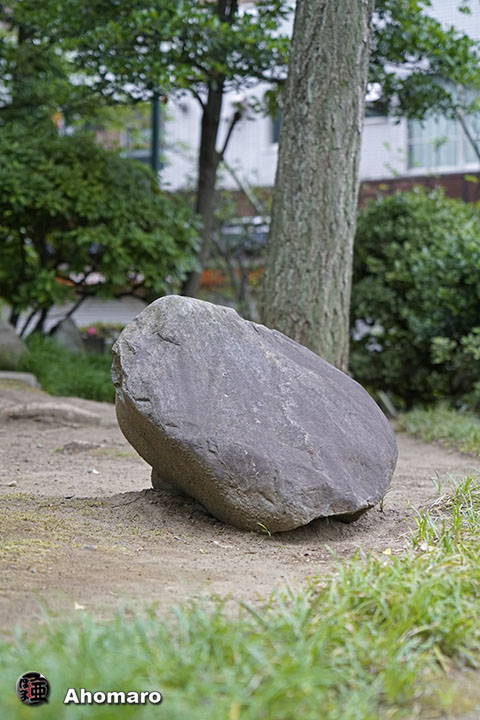写真00